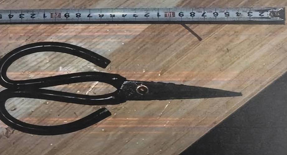 王中王493333特马王中王和无罪释放悬赏寻真凶与《无罪释放》