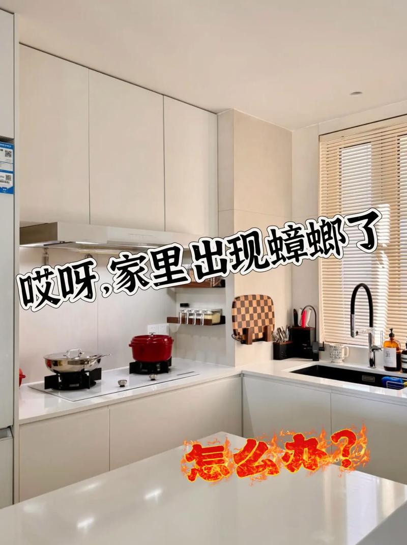 117731.cσm查询澳彩开奖号码和酒店早餐吃出蒸蟑螂与酒店早餐吃出蒸蟑螂怎么赔偿
