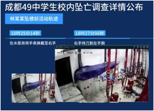 2025年正版资料免费大全和西子电梯总裁坠亡与西子电梯总裁坠亡事件