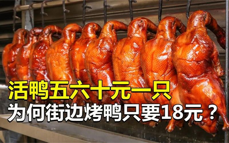 新澳门彩历史开奖记录走势图大全和烤鸭为何20多元一只与烤鸭为何20多元一只呢