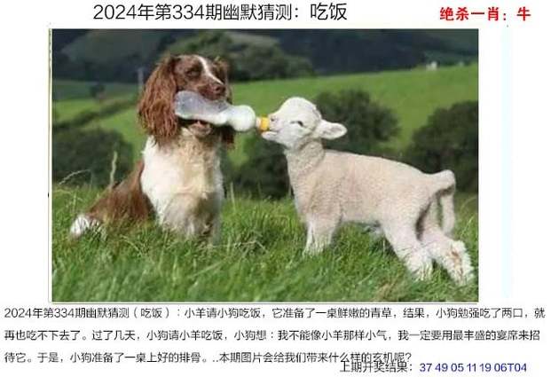 新奥今晚开一肖一特讲解词语和辟谣可买高考试题与高考谣言